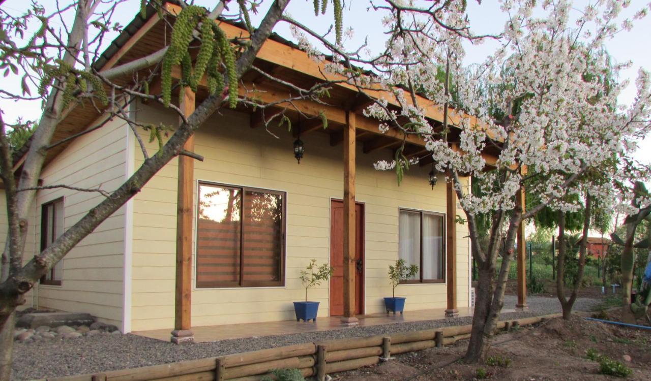 Alojamiento Los Nogales Santa Cruz Eksteriør billede