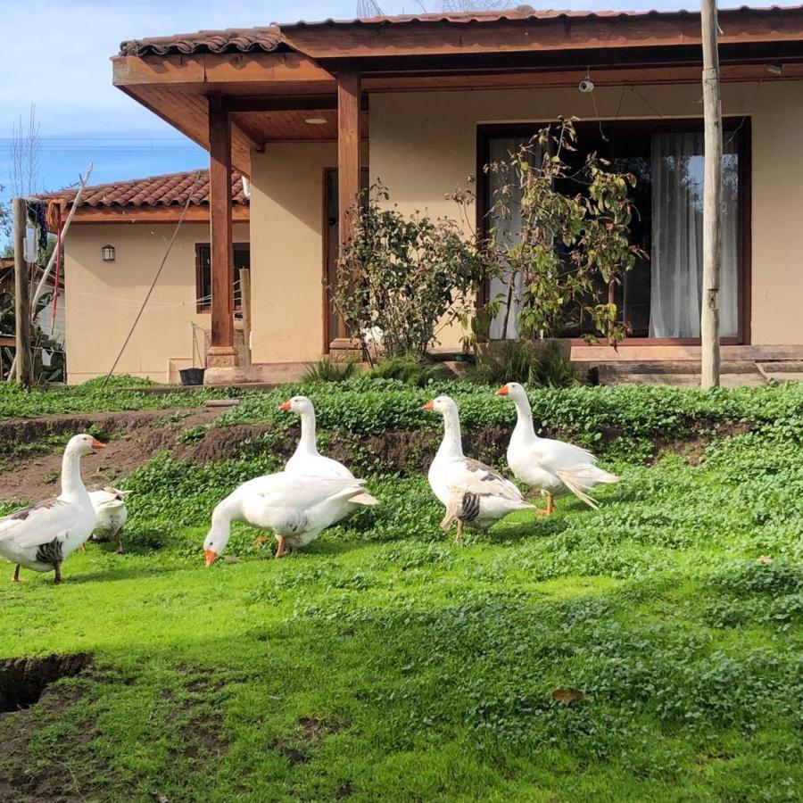 Alojamiento Los Nogales Santa Cruz Eksteriør billede